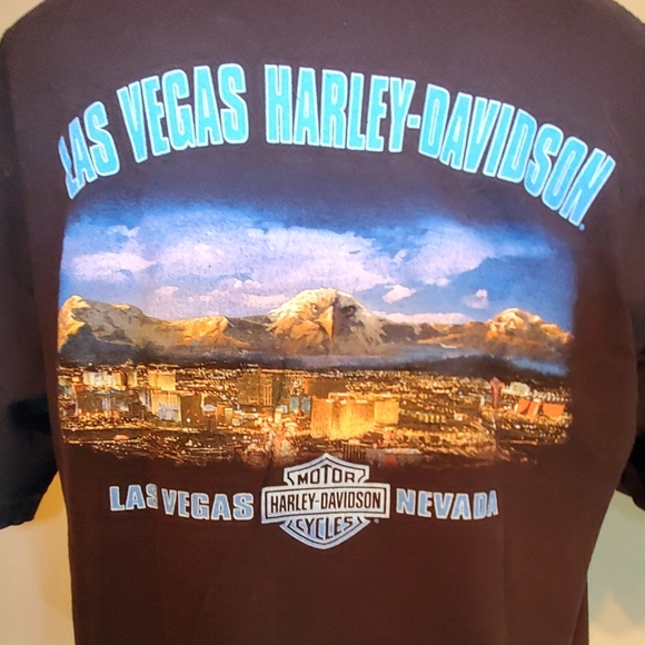 Harley-Davidson Eagle Flying High Over Las Vegas - Picture 4 of 5